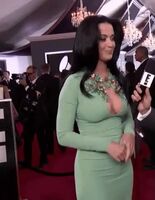 Katy Perry probably got titfucked in that dress