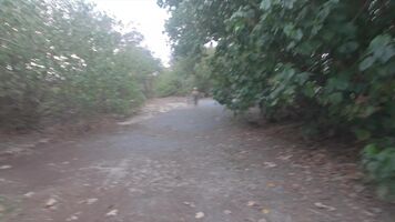 I love going on my early morning nature walks 😉 xx 55yo 🇦🇺