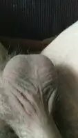 Enjoy